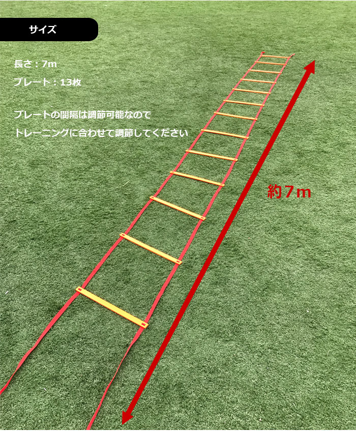 コグニラダーの変形版 コグニラダーミニ けんじのコグニライフ